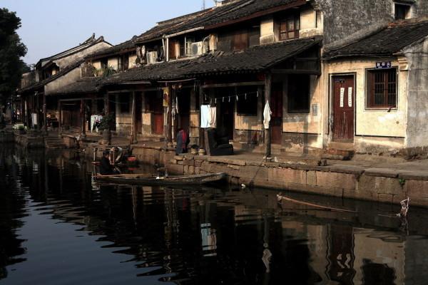 约6000平方米!浦江城区一公园的郁金香又种上了…
